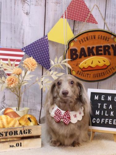 20240913ぺこちゃん